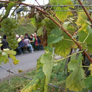 Weinbergfesst | © TV Thermen- & Vulkanland