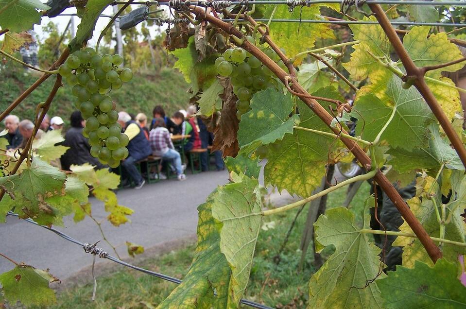 Weinbergfesst | © TV Thermen- & Vulkanland