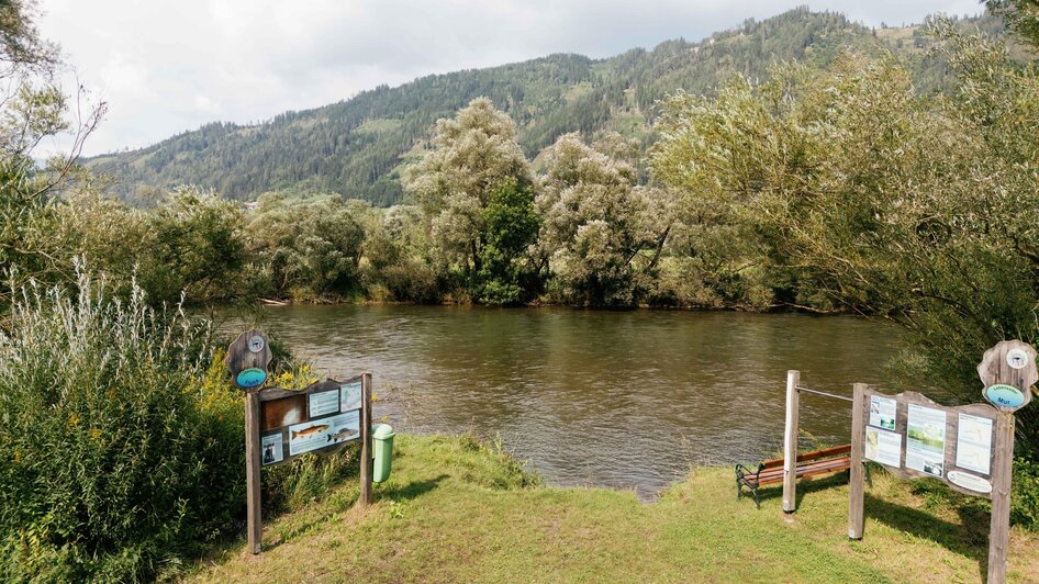 Au_Erlebnisweg-St.Peter-Murtal-Steiermark | © Karl Steinegger
