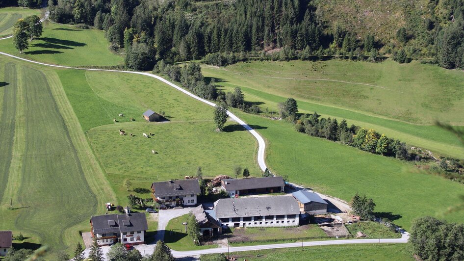 Farm Braun - Impression #2.2