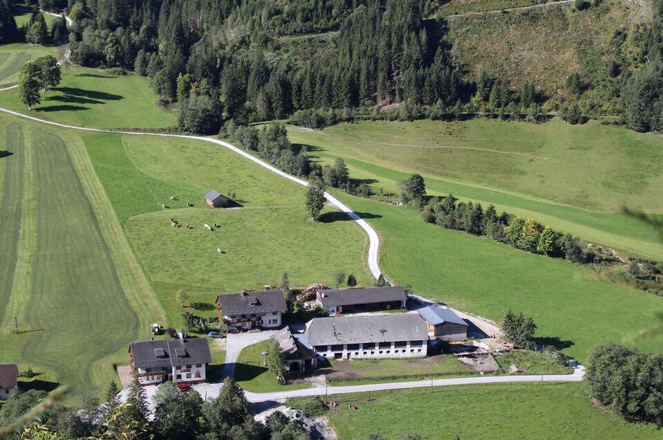 Farm Braun - Impression #1