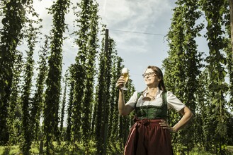 Brauerei Toni Bräu_Hopfenplantage_Oststeiermark | © Tourismusverband Oststeiermark