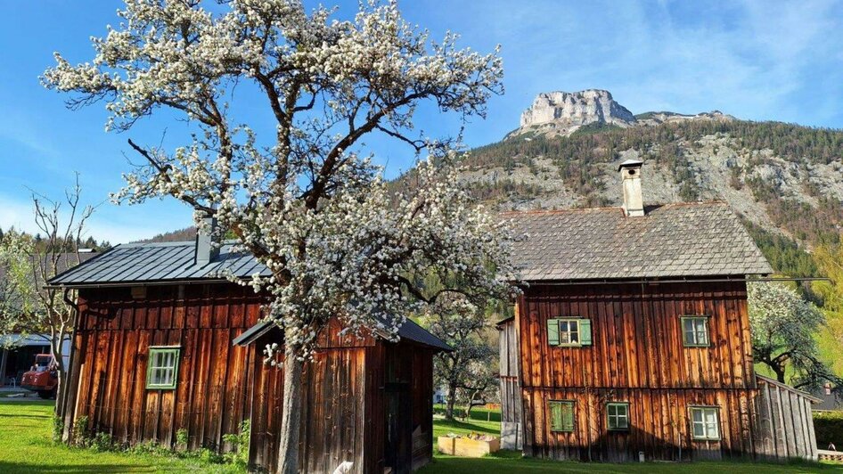 Destillerie Kadar, Altaussee, Landwirtschaft | Ernst Kadar | © Ernst Kadar Destillerie Kadar, Altaussee, Landwirtschaft | © Ernst Kadar