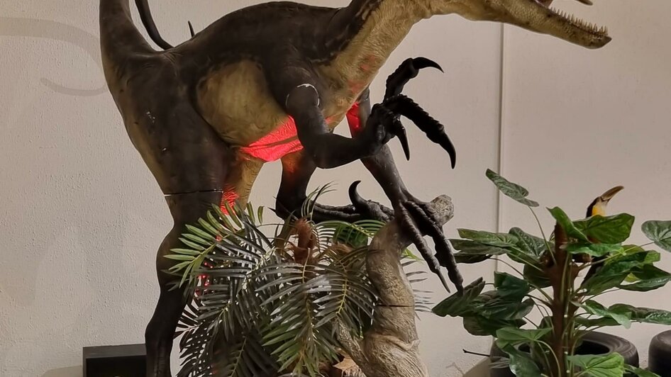 FU(N)ZO_brüllender Dinosaurier_Oststeiermark | © Stadtgemeinde Hartberg