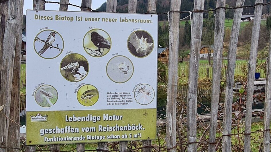 Reischenböck, Altaussee, biotop Information | Stephanie Bor | © Stephanie Bor Reischenböck, Altaussee, biotop Information | © Stephanie Bor