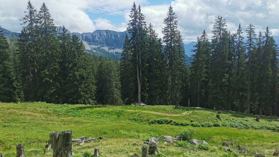 Ischler Hütte, Altaussee, Almgebiet | © TVB Ausseerland Salzkammergut_Theresa Schwaiger