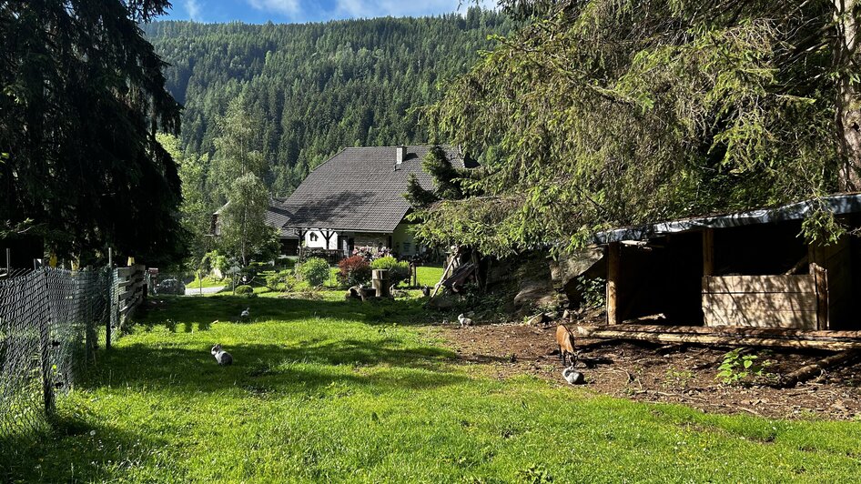 Tiere bei der Jausenstation Wedam | © Tourismusverband Murau