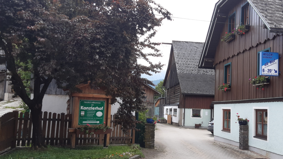 Kanzlerhof, Bad Mitterndorf, Zufahrt | © Daniela Casari