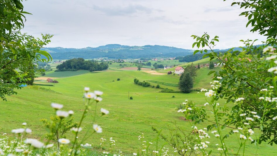 Naturpark Südsteiermark | © RM SW GmbH | webquartier.at