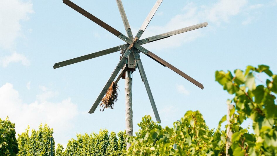 Weingarten Wiedersilli | © Familie Müller