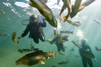 Fischbegegnung | ©  Susanne Einzenberger