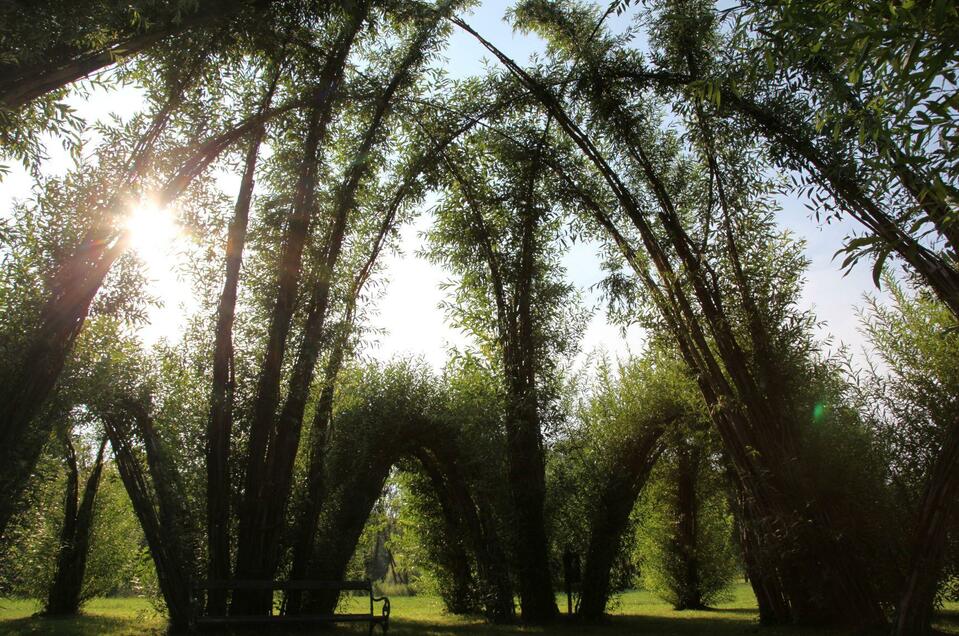 Willow Sculpturing - Impression #1 | © Kurkommission Bad Blumau