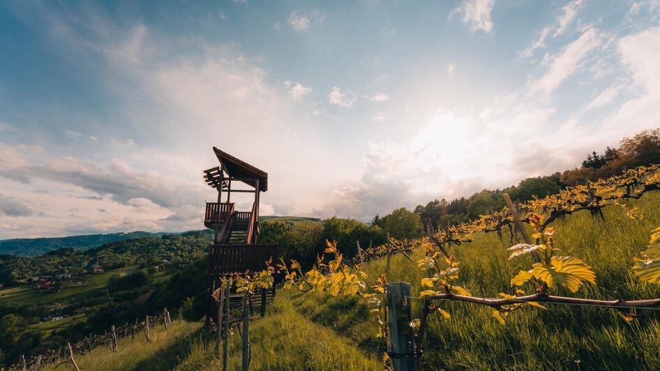 Weinbergwarte in Bad Gams | © TV Südsteiermark/Schilcherland Steiermark