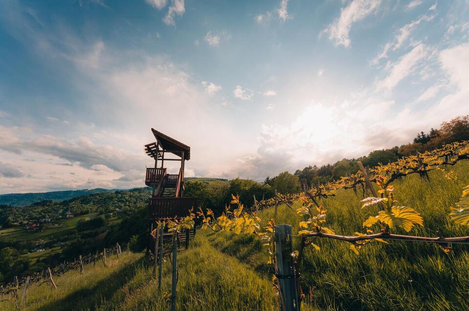 Weinbergwarte Bad Gams - Impression #1 | © TV Südsteiermark/Schilcherland Steiermark