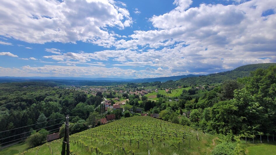 Weinbergwarte Bad Gams - Impression #2.2