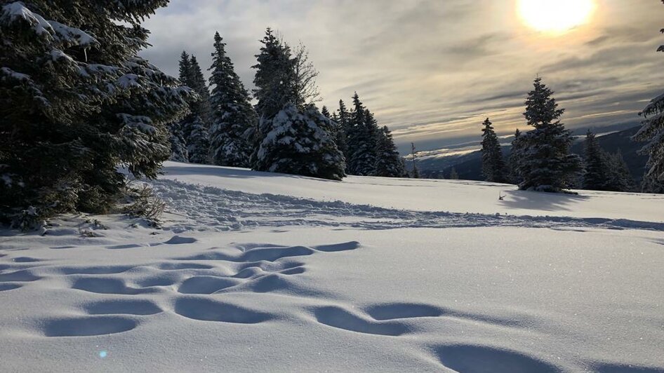 Schnee | TV Südsteiermark | © TV Südsteiermark Schnee | © TV Südsteiermark