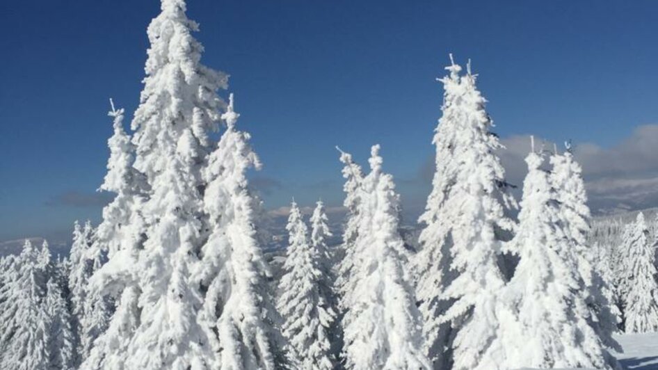 Tiefschnee | TV Südsteiermark | © TV Südsteiermark Tiefschnee | © TV Südsteiermark