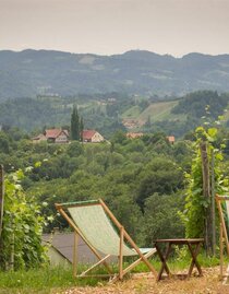 weingut_deutschmann_vlg__smonde_ausblick | © Markus Deutschmann | Weingut Deutschma vlg. Smonde | Markus Deutschmann | © Markus Deutschmann | Weingut Deutschma vlg. Smonde