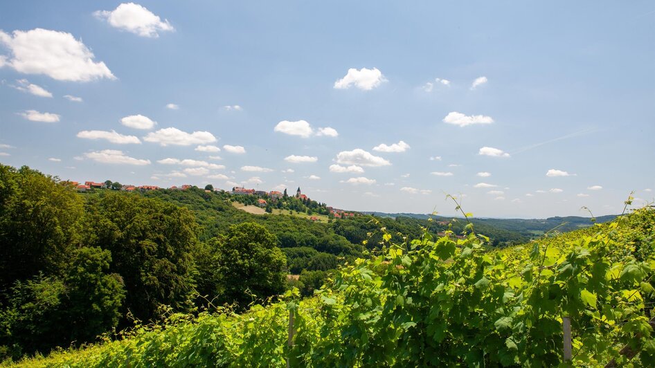Weingut Pfeifer in St. Anna/A. - Impression #2.3