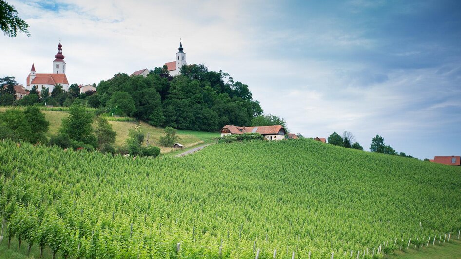 Weingut Edi Tropper - Bio Winzer in Straden - Impression #2.2