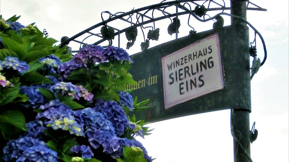 Winzerhaus SIERLING EINS2 | Herbert Reindl | © Schilcherland Hof Winzerhaus SIERLING EINS2 | © Schilcherland Hof