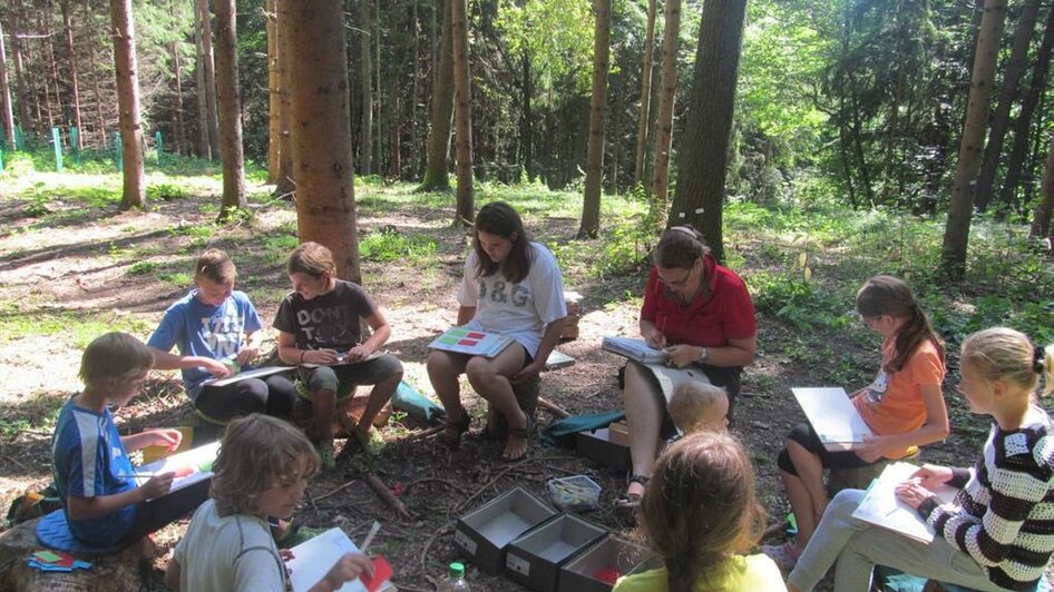 Flamberger Hof Erlebnis im Wald | © Flambergerhof