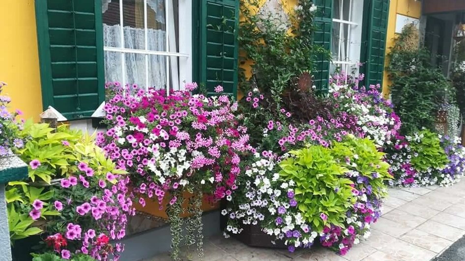 Haus mit Blumen | © Renate Kummer Haus mit Blumen | © Renate Kummer