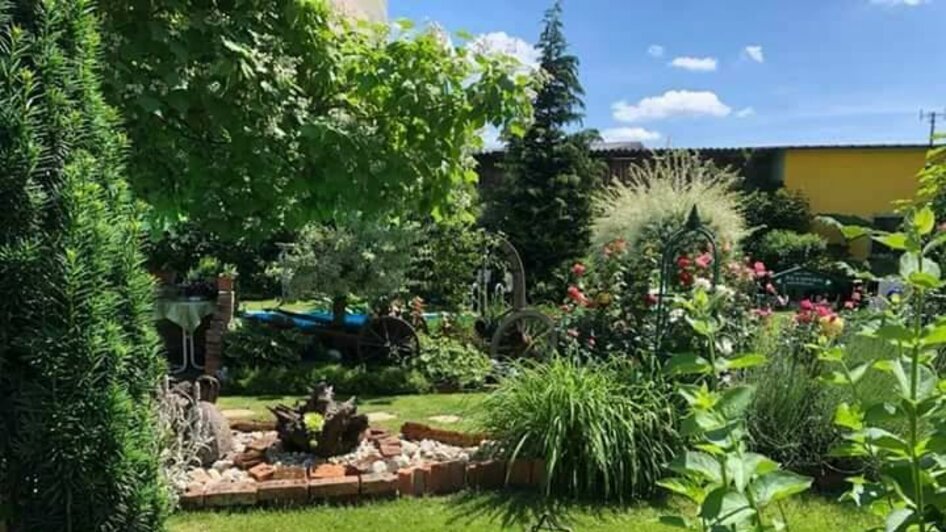 Garten 2 | © Renate Kummer Garten 2 | © Renate Kummer