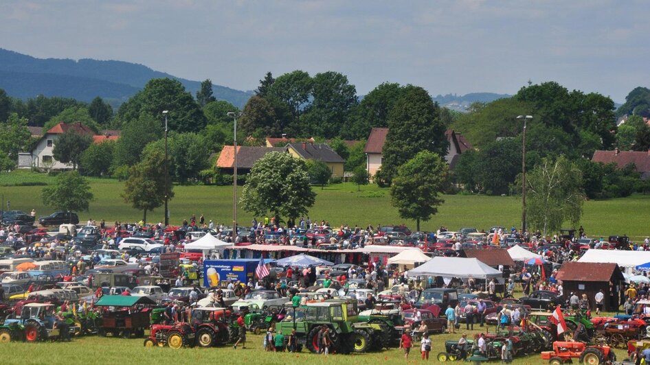 Verschiedenste Oldtimer beim Treffen zu bestaunen | © SSW