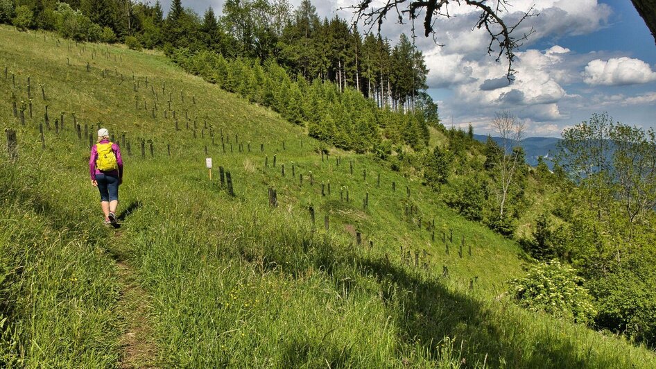 Unterwegs am Wanderweg | © Heinz Kaltschmidt