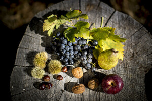 Steirischer Herbst | © Tom Lamm