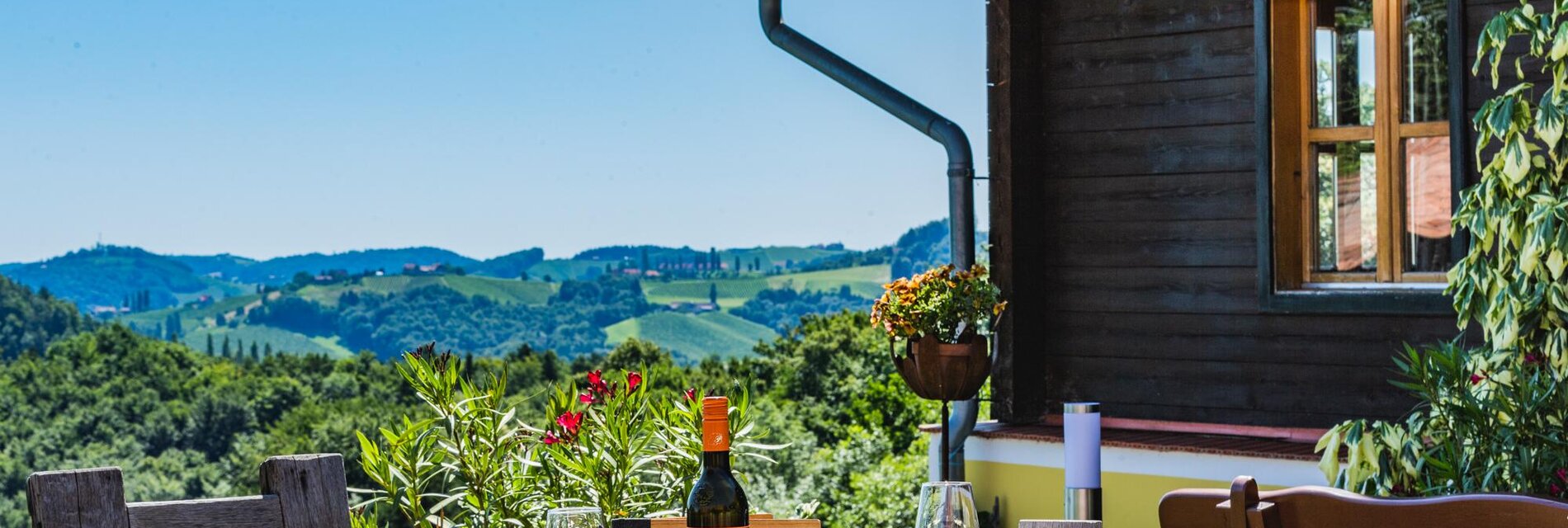 Package Zeit zu Zweit in den Weinbergen - Weingut & Buschenschank Pölzl