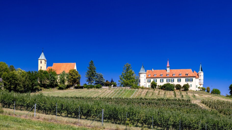 Ein Schloss und eine Kirche umgeben von Weinbergen und blauem Himmel.