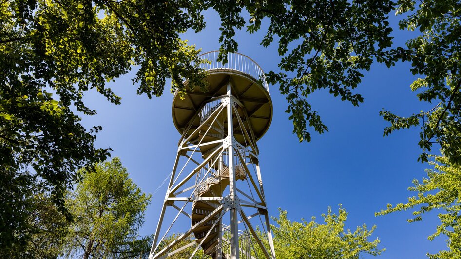 Blick auf einen Aussichtsturm umgeben von Bäumen am blauen Himmel.