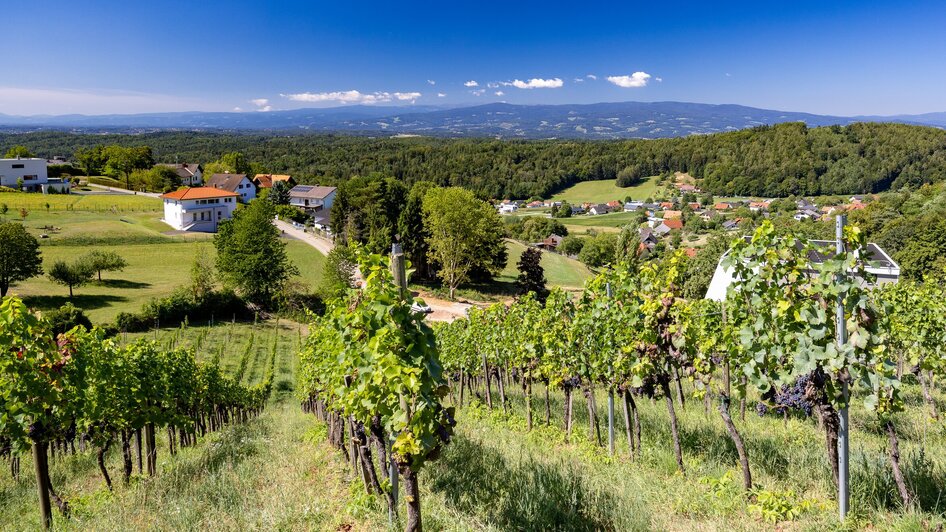 Blick auf Weinberge und Landschaft bei Graz.