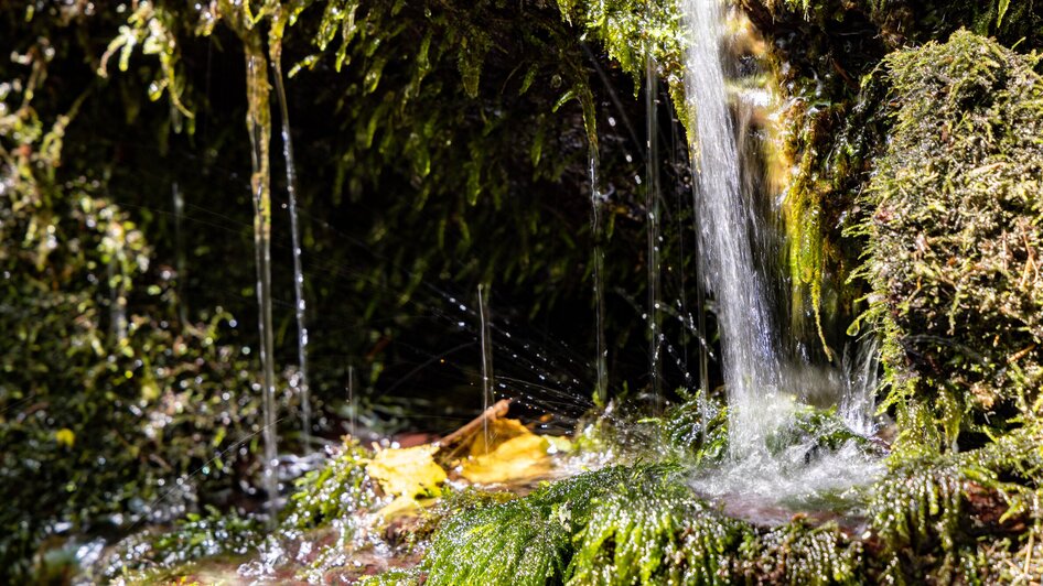 Ein Wasserfall fließt über moosbedeckte Steine in der Natur.