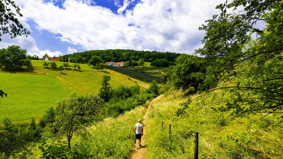 Eine Person wandert auf einem Pfad durch eine grüne Landschaft.