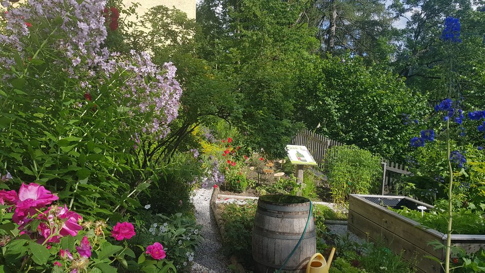 „Entdecke die Wunderwelt der Kräuter“  - Impressionen #2.4