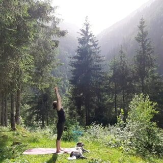 Waldyoga | © Sandra Glaser