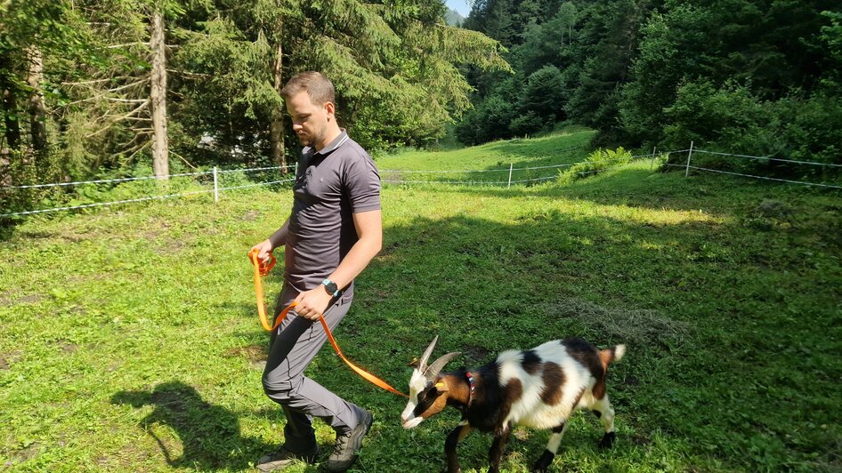 Ziegenspaziergänge - Impressionen #2.4