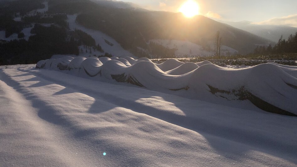 Garten am Berg - Schladming-Dachstein - Impression #2.1 | © Garten am Berg