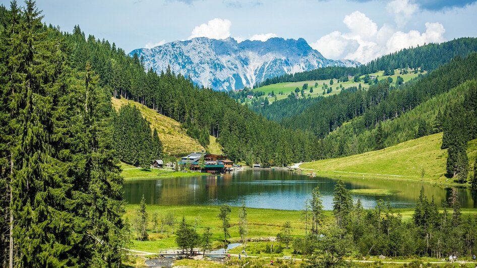 Steirischer Bodensee | © TVB Haus-Aich-Gössenberg@René Eduard Perhab