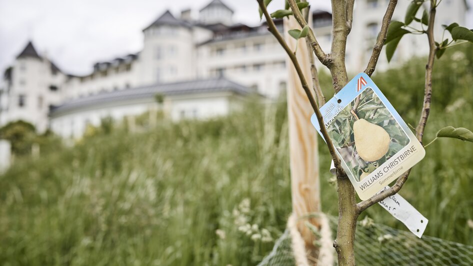 | thomas sattler IMLAUER Schloss Hotel Pichlarn