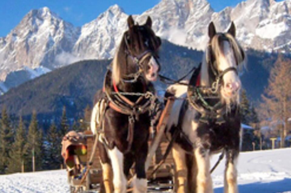 Horse Drawn Sleigh Rides Ortnerhof - Impression #1