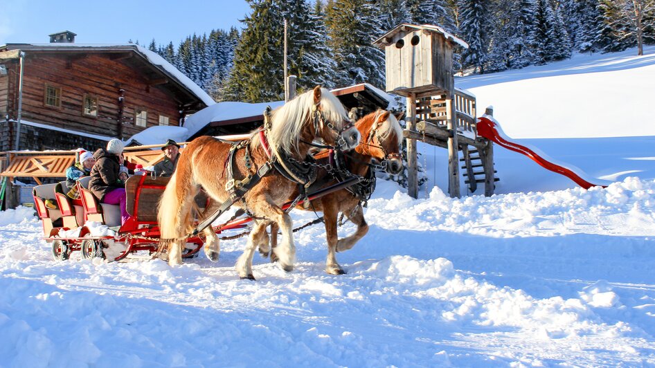 Pferdeschlittenfahrt | © Walcher, Stoanerhof Rösteralm - Impression #2.18 | © Walcher, Stoanerhof