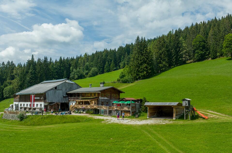 Rösteralm | Hans-Peter Steiner | © Hans-Peter Steiner Rösteralm - Impression #1 | © Hans-Peter Steiner