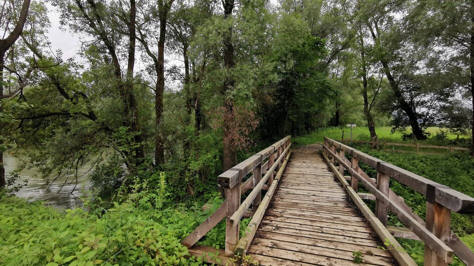 Auf dem Weg zum Wasserplatz an der Enns