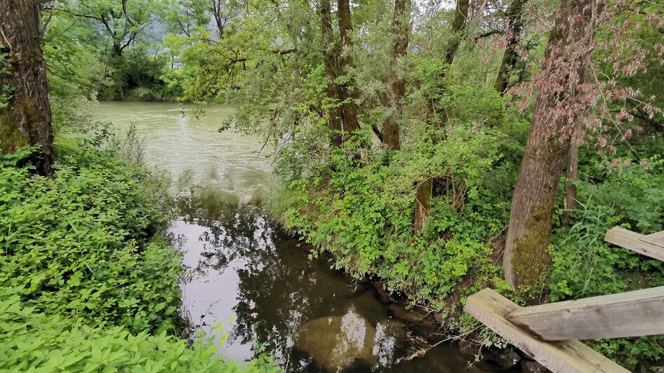 Nahe dem Wasserplatz an der Enns